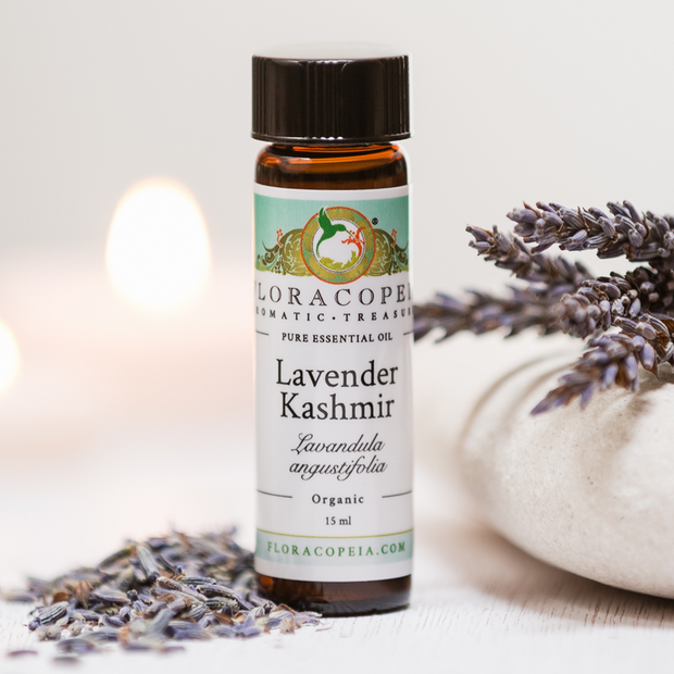 Lavender, Kashmir, organic (15ml)